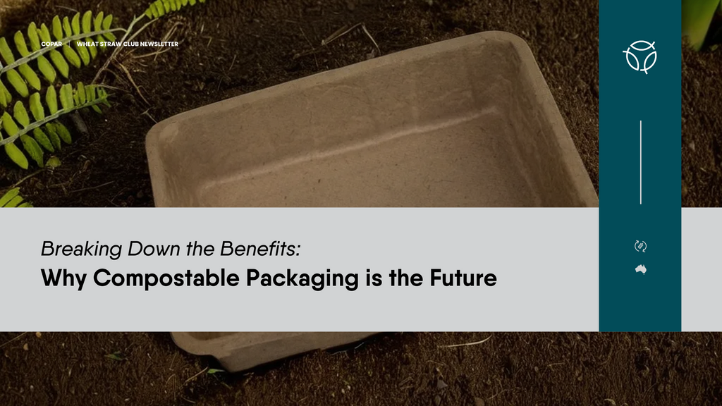 Breaking Down the Benefits: Why Compostable Packaging is the Future