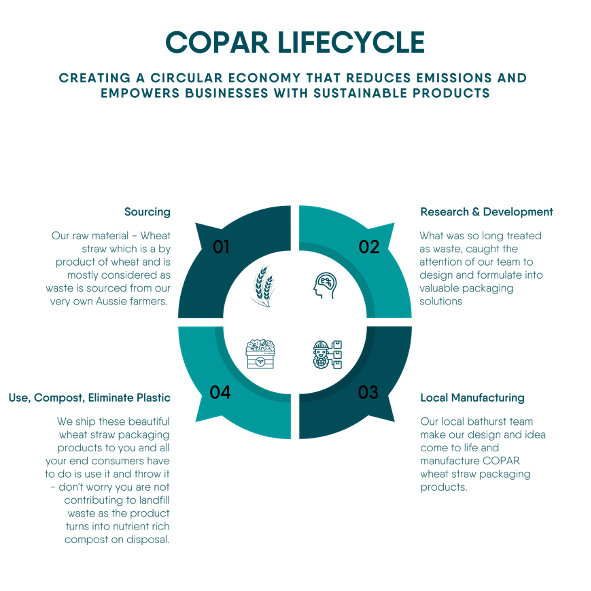 What is a Circular Economy and How is COPAR's Wheat Straw Packaging Circular?