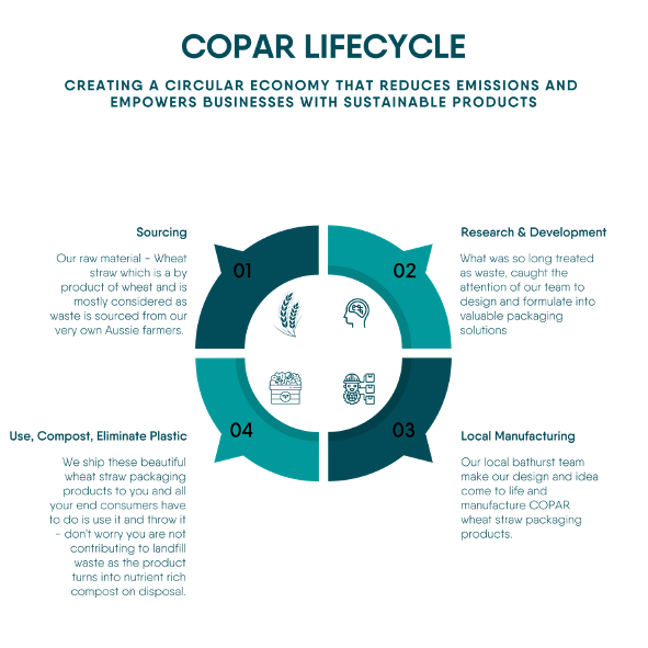 What is a Circular Economy and How is COPAR's Wheat Straw Packaging Ci